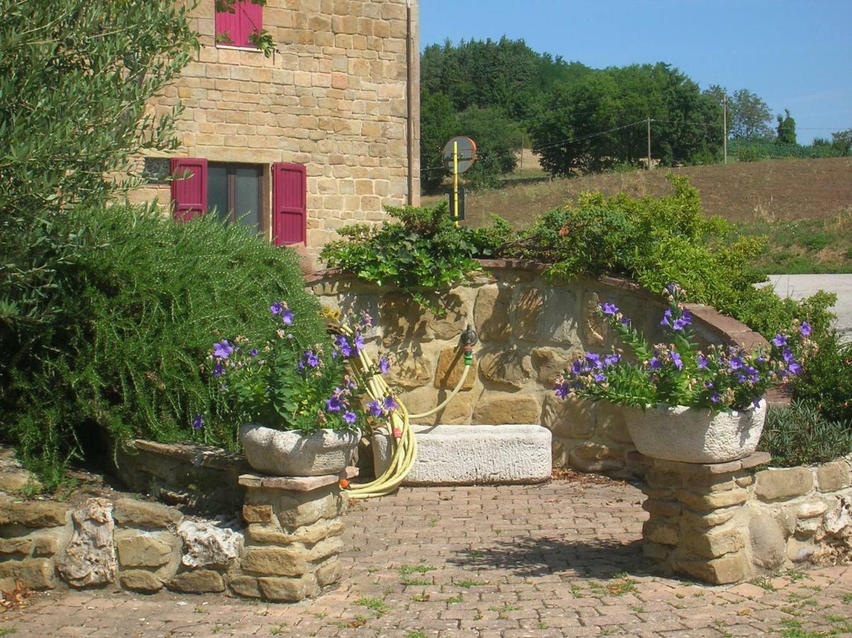 Mansarda Viti - Sguardo Su Frontone - Exterior foto